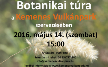 Botanikai túra a Ság hegyen
