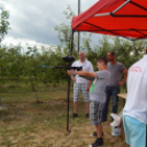 IV. Buti Pálinka Fesztivál