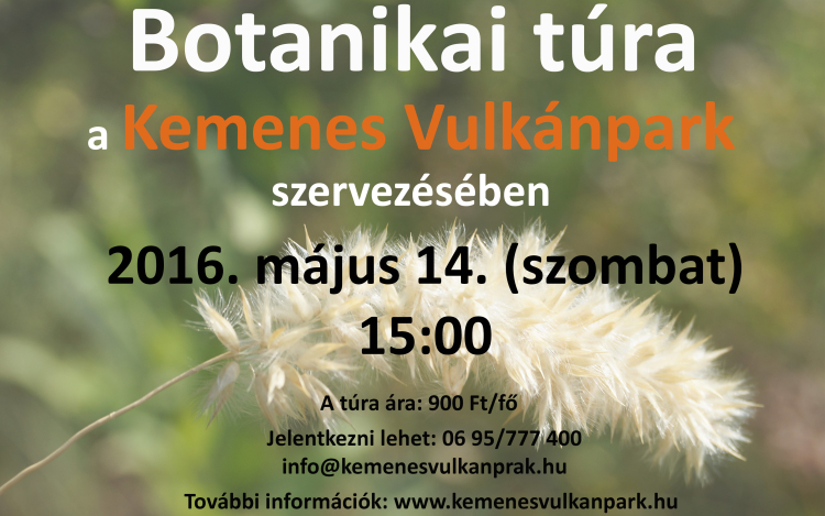 Botanikai túra a Ság hegyen