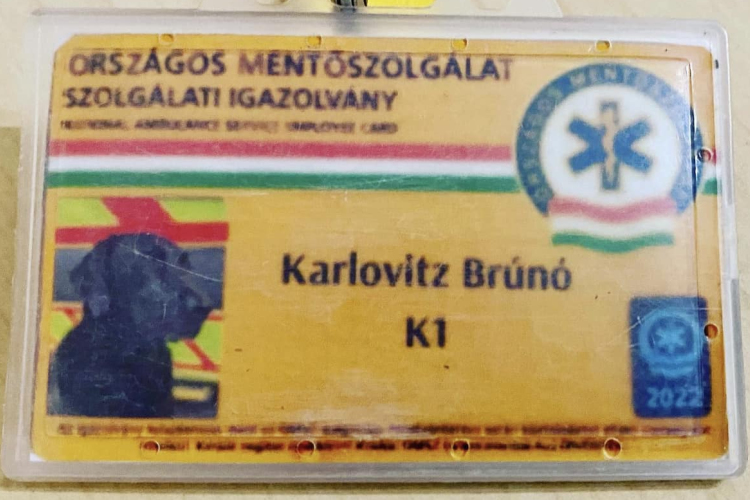 Állományba vett egy kutyát az OMSZ