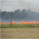 Gabonatáblák égtek Celldömölkön