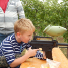 Buti Pálinkafesztivál - szombat