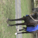 Sághegyi Szüreti Napok 2017