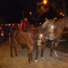 Második gyertyagyújtás - Advent 2013