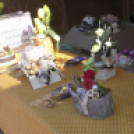 Tulipánfesztivál Celldömölk 2018