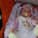 IV. Buti Pálinka Fesztivál