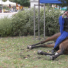 Sághegyi Szüreti Napok 2017