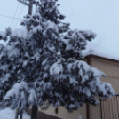 Téli képek városunkról