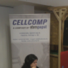 Állásbörze Celldömölkön