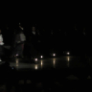 Néptánc Antológia dr. Pesovár Ernő emlékére