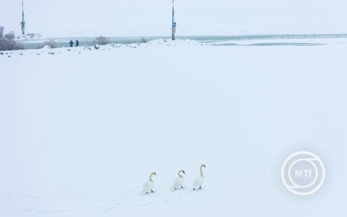 Hideg idő - Rendőrség: a déli parton már biztonságos a Balaton jege