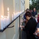 A pákozdi csatára emlékeztek a celldömölkiek