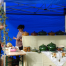 Almafesztivál Jánosháza