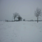 Bálint napon behavazott