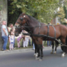 Sághegyi Szüret 2016 