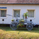 Falunapi pillanatképek Vönöckről