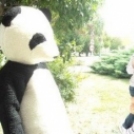 Pek-Sneck Panda Macival