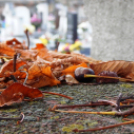 Őszi tűnődés az elmúlás szigetén