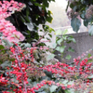 Őszi tűnődés az elmúlás szigetén