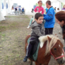 Almafesztivál Jánosháza