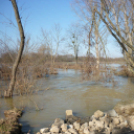 Megáradt vizek - Rába