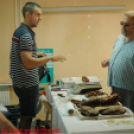 Malomfia Vásár Ostffyasszonfa