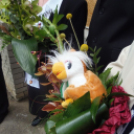 Ballagás Celldömölkön - gimnazisták