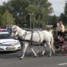 Sághegyi Szüreti Napok 2017