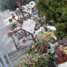 Őszi tűnődés az elmúlás szigetén