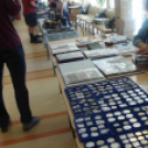 MÉE Celldömölki Csoportja \