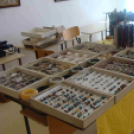 MÉE Celldömölki Csoportja \