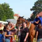 Családi nap Tokorcson