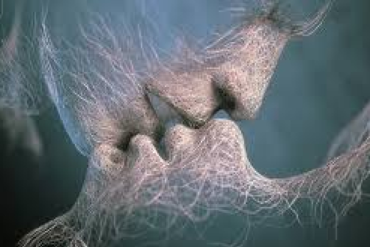 Szerelmesnek lenni a legjobb dolog a világon