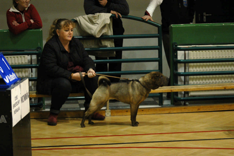 Kettős győzelemmel a Klubcsapatok Szuperligájának döntőjében.