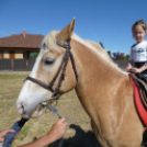 Dömölki Napok 2014 - péntek