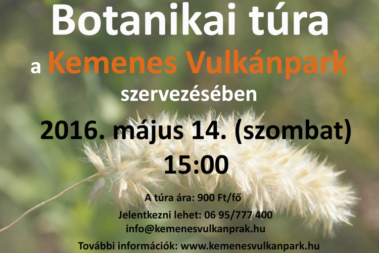 Botanikai túra a Ság hegyen