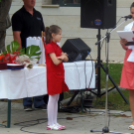 Szent Flórián napi megemlékezés Celldömölkön