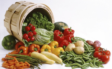 Versenyképesség növelés EU-s támogatással a Merse Amigo Bt-nél